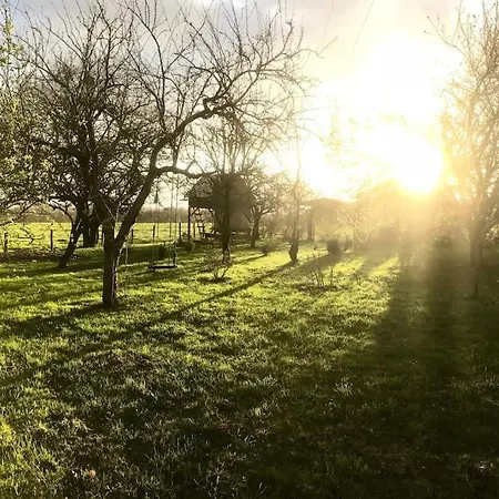 Logis Des Gabelous * Belligné